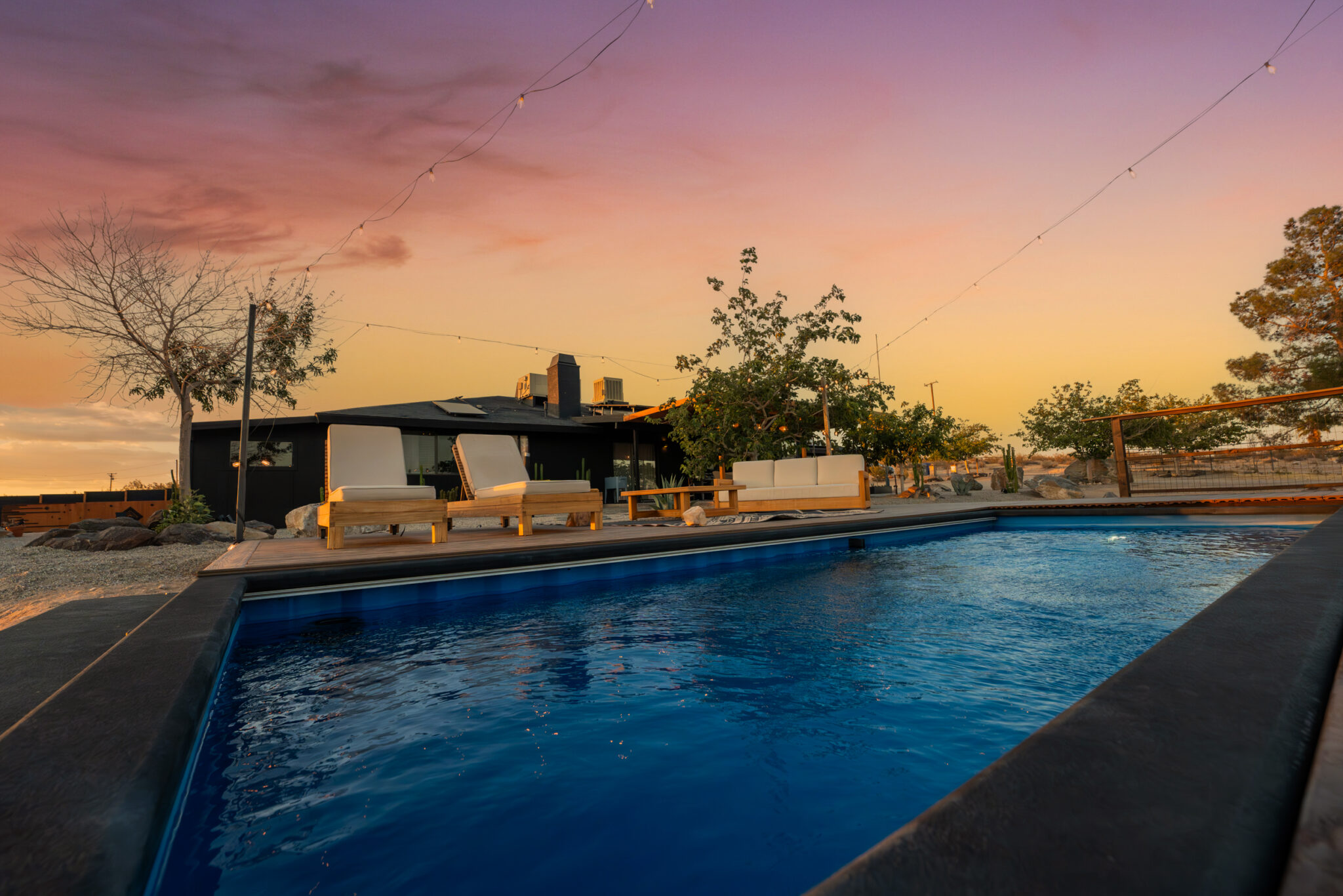 DSC00303-Enhanced-NR copy (2)