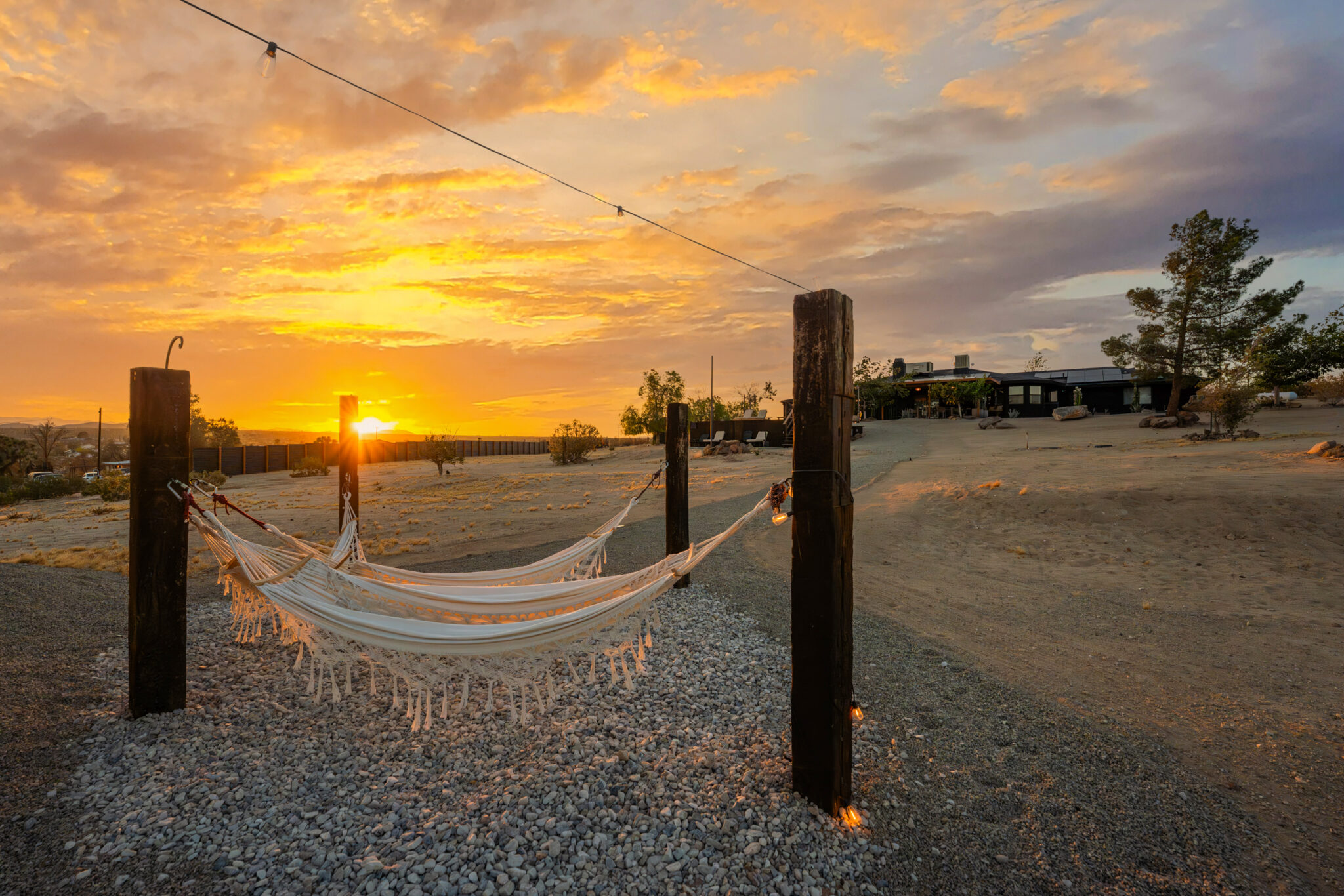 DSC00330-Enhanced-NR copy (3)